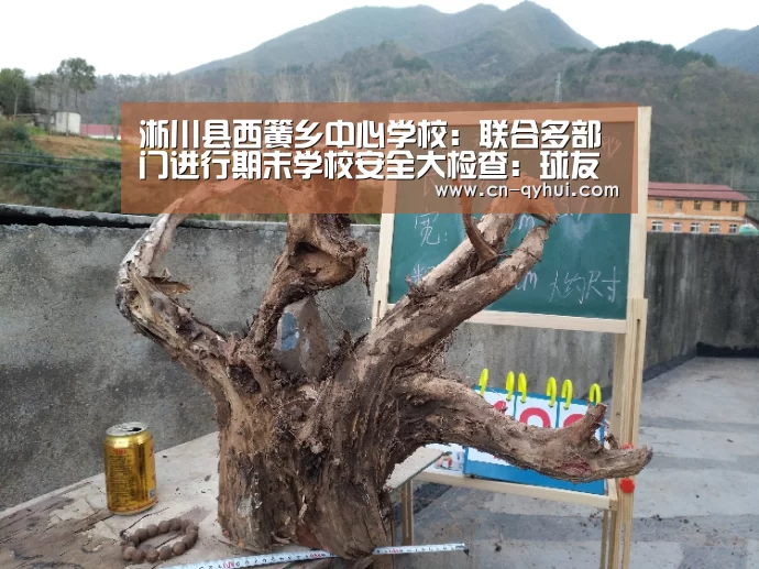 球友会